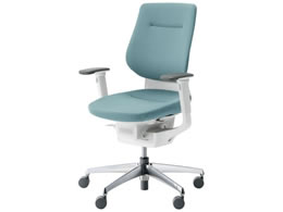 RN CO NbVw^[RCY IL W CRGA3213E1G439W