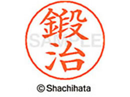 �V���`�n�^ �l�[���y���p�l�[�� �V���o�[ ���� �b�� X-GPS-0848