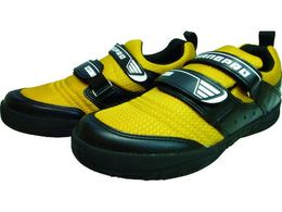 i v2 L 29.0 V1300CA-29.0