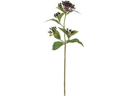 YDM  ro[ieBiX _[Np[v