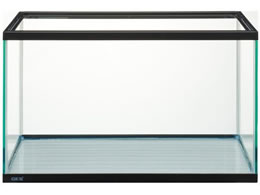 �W�F�b�N�X �}���[�i 60 ���� MR600BKSTN 8429