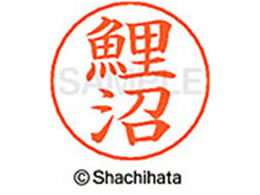 V`n^ l[ypl[ Vo[   X-GPS-1133