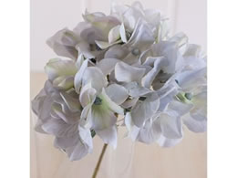   AXnChWA #115 GY BL 151