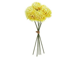   xG}sbN #104 CR YL 6{