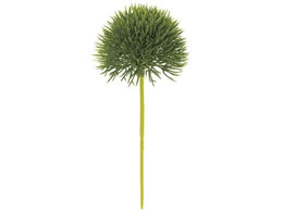   O[gtsbN GREEN