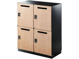 TTvC p[\ibJ[(4ʃ^Cv) PLK-TWH4BKLM