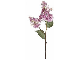 ������ ���� �t�����A���C���b�N ���C���b�N