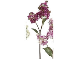 ������ ���� �t�����A���C���b�N �p�[�v��