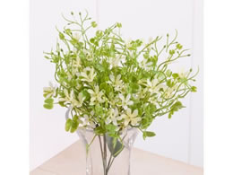 ������ ���� �X�^�[�t�����[�O���X�s�b�N 6�{ �N���[��