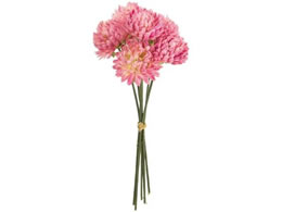 ������ ���� �x���G�}���s�b�N #11 LAV 6�{