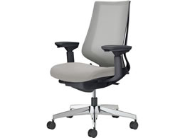 �R�N�� �`�F�A �f���I��2 �A���~�r ���b�V�� �\�t�g�O���[