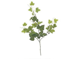   `[VTXoC GREEN