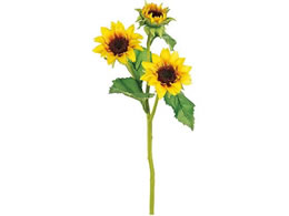 ������ ���� ���l�T���t�����[ YELLOW