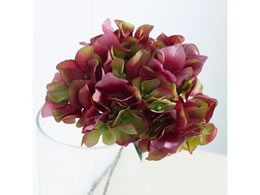 ������ ���� �A�[�x���g�n�C�h�����W�A �I�[�L�b�h�O���[��