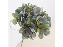 ������ ���� �A�[�x���g�n�C�h�����W�A �A�N�A�O���[��