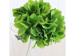 ������ ���� �A���X�n�C�h�����W�A ���C��