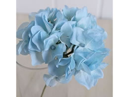 ������ ���� �A���X�n�C�h�����W�A ���C�g�u���[