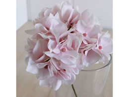 ������ ���� �A���X�n�C�h�����W�A �z���C�g�s���N