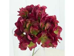 ������ ���� �A���X�n�C�h�����W�A �r���[�e�B