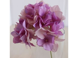 ������ ���� �A���X�n�C�h�����W�A ���C���b�N