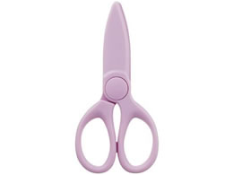 RN RN̂͂߂ănT~ pXeCbN nT-500LV