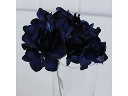 ������ ���� �A���X�n�C�h�����W�A �_�[�N�u���[