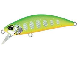 �f���I �X�s�A�w�b�h�����E�L 50SP #ASI4044 �t���`���[�g���}��