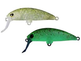 �W���b�J�� TM �u���u���~�m�[(F) #�V���{�N���O���[