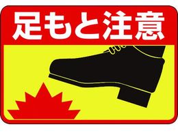 �Ώ\�� �����ƒ��� �H��-41 300�~450 ��G���r ���ʌ�