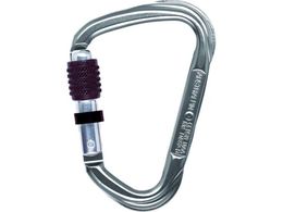 ALPIN 2800 EVO �X�N�����[���b�N ���a14.0 �V���o�[ KW11A