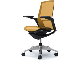 �I�J���� �t�B�m�� �n�C�o�b�N �����b�V�� �A�W���X�g�I �C�G���[ C785AR