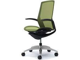 �I�J���� �t�B�m�� �n�C�o�b�N �����b�V�� �f�U�C���I �O���[�� C745AR