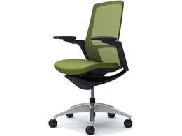 �I�J���� �t�B�m�� �n�C�o�b�N ���N�b�V���� �A�W���X�g�I �O���[�� C787AR