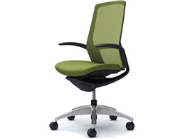 �I�J���� �t�B�m�� �n�C�o�b�N ���N�b�V���� �f�U�C���I �O���[�� C747AR