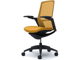 �I�J���� �t�B�m�� �n�C�o�b�N ���N�b�V���� �A�W���X�g�I �C�G���[ C787MR