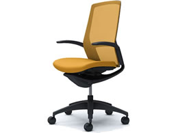 �I�J���� �t�B�m�� �n�C�o�b�N ���N�b�V���� �f�U�C���I �C�G���[ C747MR