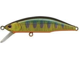 �W���N�\�� ���e�I�[�� 63 SKY �L�����}��