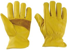 LveX^bO AEghA\tgU[O[u  t[TCY