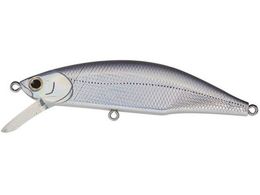 �W���N�\�� ���e�I�[�� 80 #LBS �N���M��