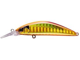 �W���b�J�� TM �g���R���[��GT 56MD-F #�T�C�g�A�J�L��