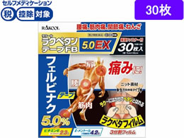 )N[i̔ Ny^e[vFB5.0EX 30