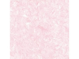 wCR[   _ sN 100 002302201