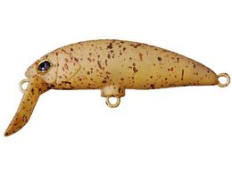 �W���b�J�� TM �u���u���~�m�[(F) #�V���{�N���W��