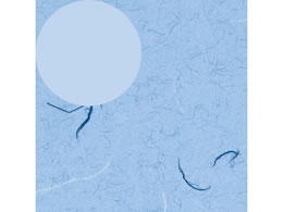 wCR[  S ӂ  100 002358300