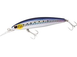 _C VACVCi[ZZbgAbp[110SDR [U[}CV