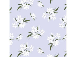 wCR[    50 002338704