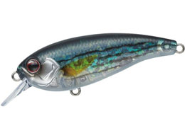 �G�o�[�O���[�� �x���J���g #389 �t���b�V���C�i�b�R