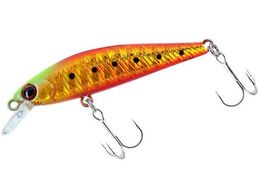 _C J}Xn^[~m[50S o[jOS[hCV