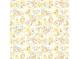 wCR[   v~G[ 50 002402518