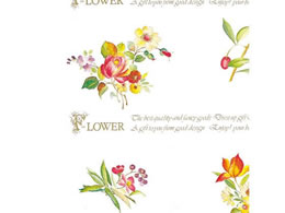 wCR[  S VbNXt[ 50 002418900